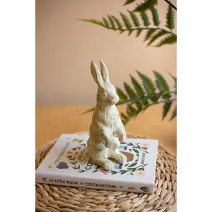 Cast Iron Standing Rabbit 4