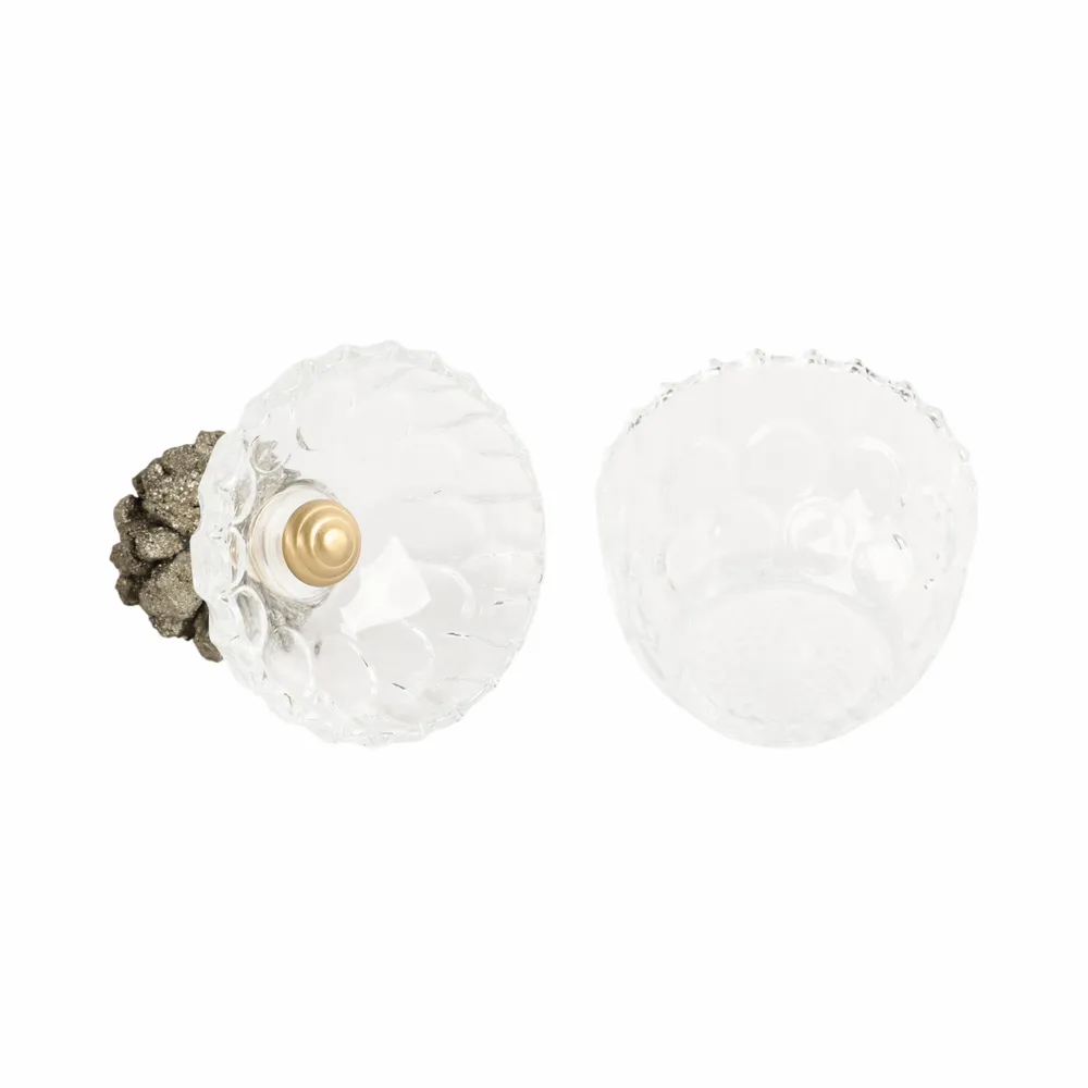 REXROSE CLEAR JAR 7 (IN)