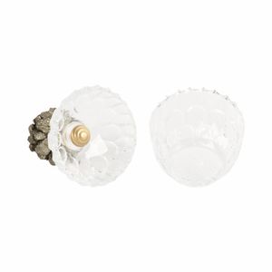 REXROSE CLEAR JAR 7 (IN) 9