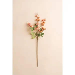 Botanica #3697 3