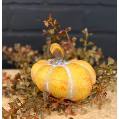 Golden Pumpkin 3.75x2.5in