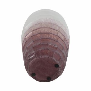 BRAMHOLM PINK GLASS VASE 16 (IN) 8