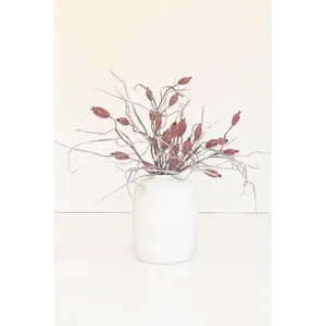 Botanica #2886 2