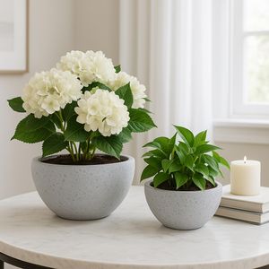 BYRONHAM SET OF 2 WHITE PLANTER 6 (IN) 10