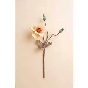 Botanica #2895 3