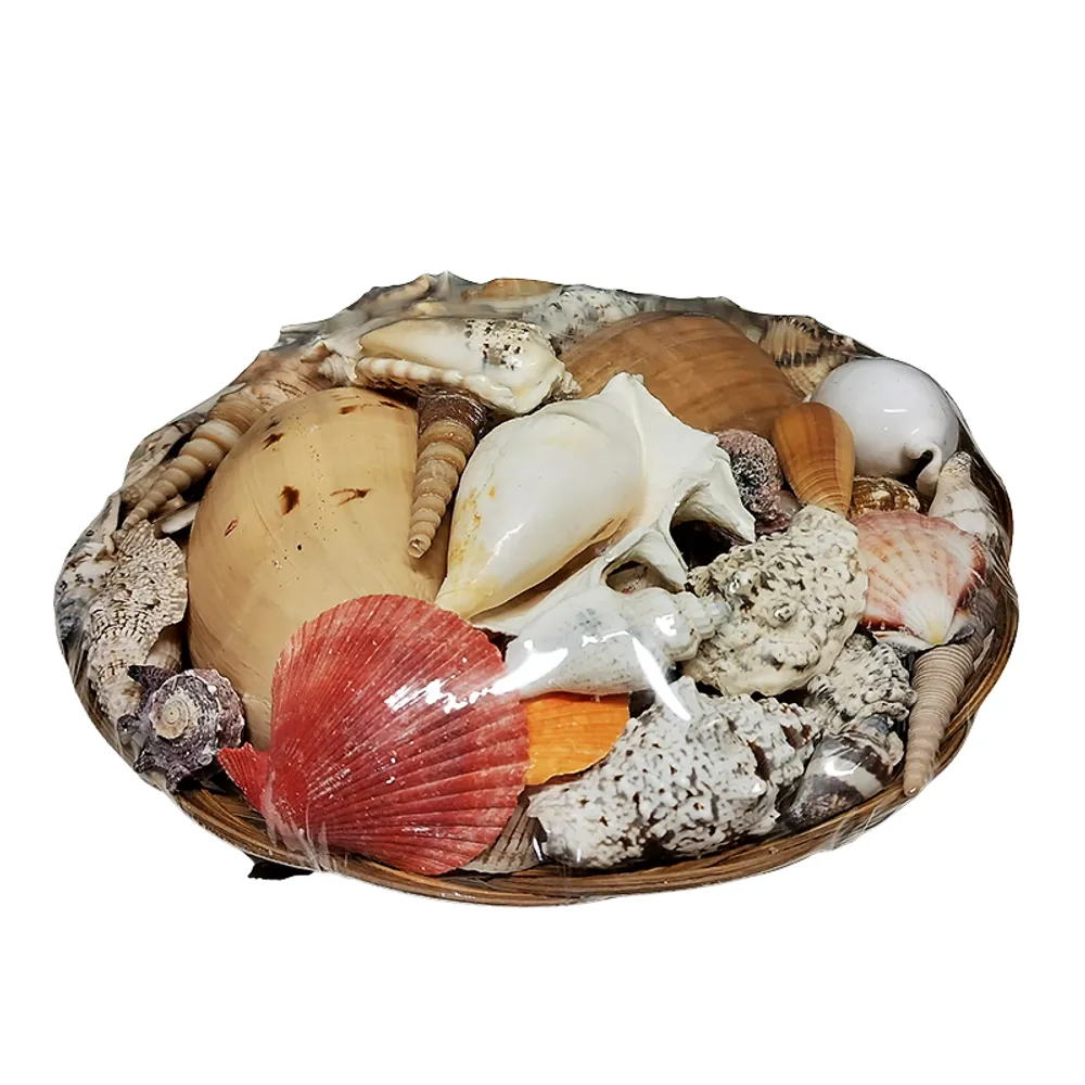 12" SHELL PACK
