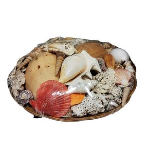 12" SHELL PACK 1