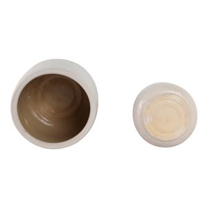 PEYTONLAKE SET OF 2 WHITE PLANTER 10 (IN) 8