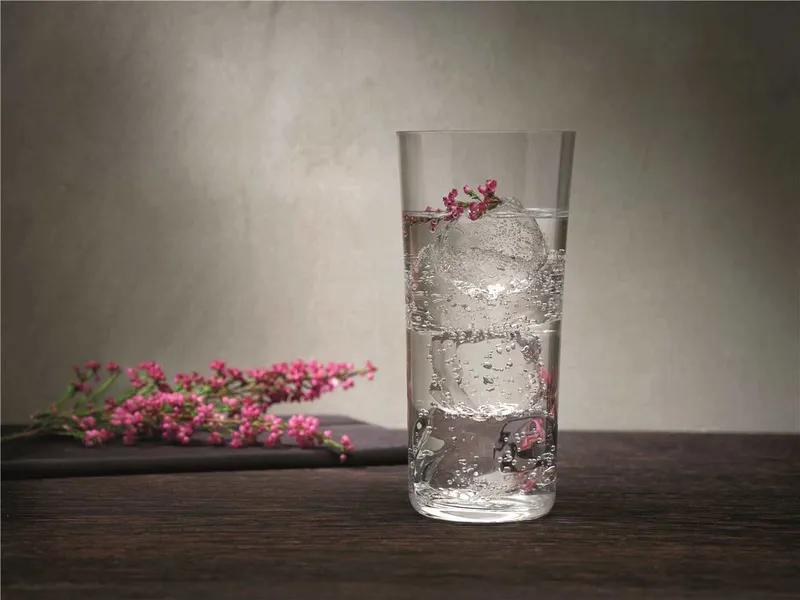 SAVAGE HighBall, 11.25oz/333ml 3
