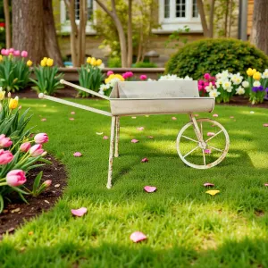 Spring Wheelbarrow 20x11in 2