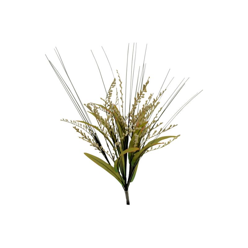 FOXTAIL GRASS BUSH X 12