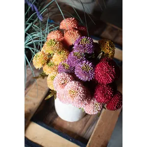 Bundle of 7 Artificial Purple Ball Dahlias 3
