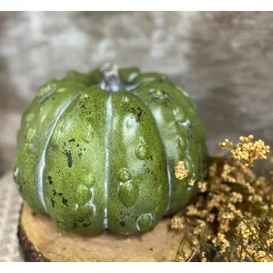 Seminole Pumpkin 10x7in 1