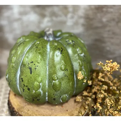 Seminole Pumpkin 10x7in