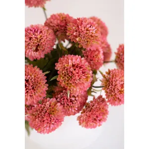 Bundle of 7 Artificial Blush Ball Dahlias 5