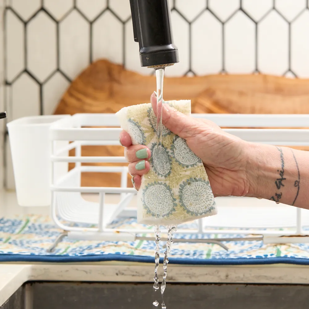 Wynn Pop-Up Sponge Set 3