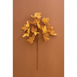 Botanica #9080 1