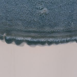 HAMPTONDALE BLUE VASE 27 (IN) 4