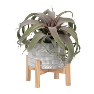 MIABROOK IVORY PLANTER 6 (IN) 5