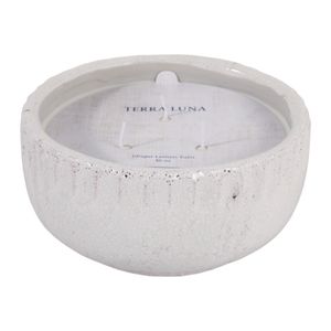 BRADYLEY GINGER LEMON YUZU CANDLE 5 (IN) 1
