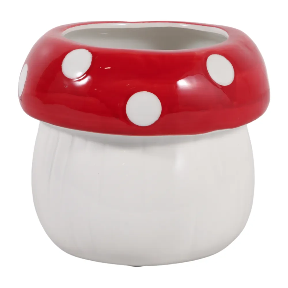 BLAINEROSE WHITE PLANTER 5 (IN)