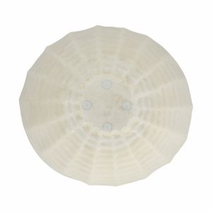 AXELWICK WHITE BOWL 10 (IN) 8