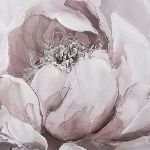 Petal Study Framed Wall Art 4
