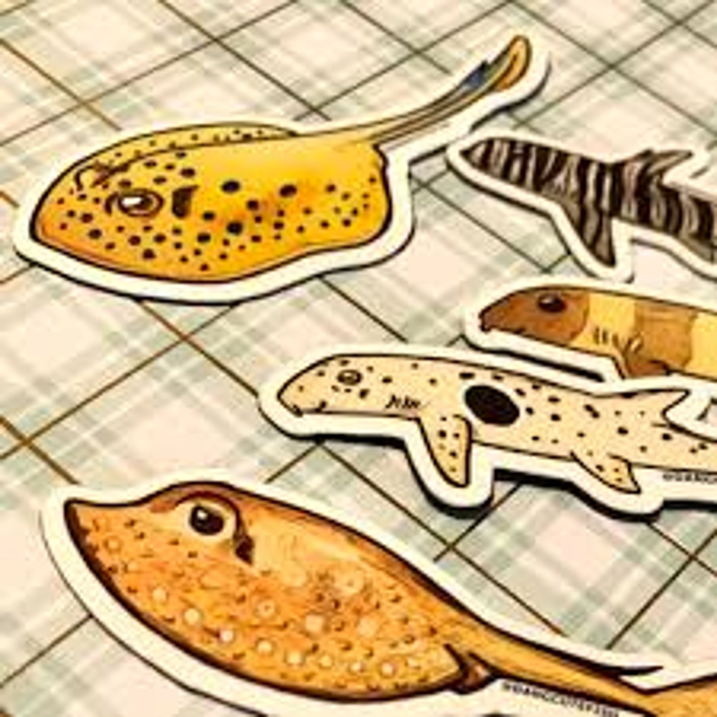 BAMBOO & CHROME MAGNET - SHARK