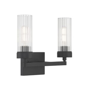 Lida 14'' Wide 2-Light Vanity Light - Matte Black 1