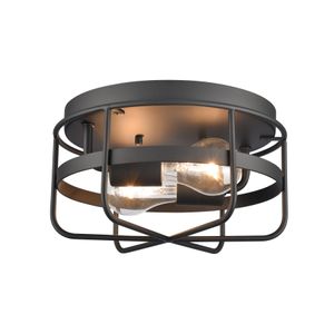 Gael 10'' Wide 2-Light Flush Mount - Matte Black 1