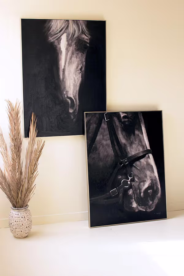Framed Black and White Side View Horse Painting