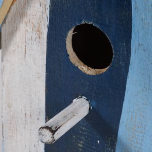 MERCERBROOK BLUE BIRDING 13 (IN) 7
