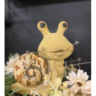 Natural Snail Lg.6.3x6.7in