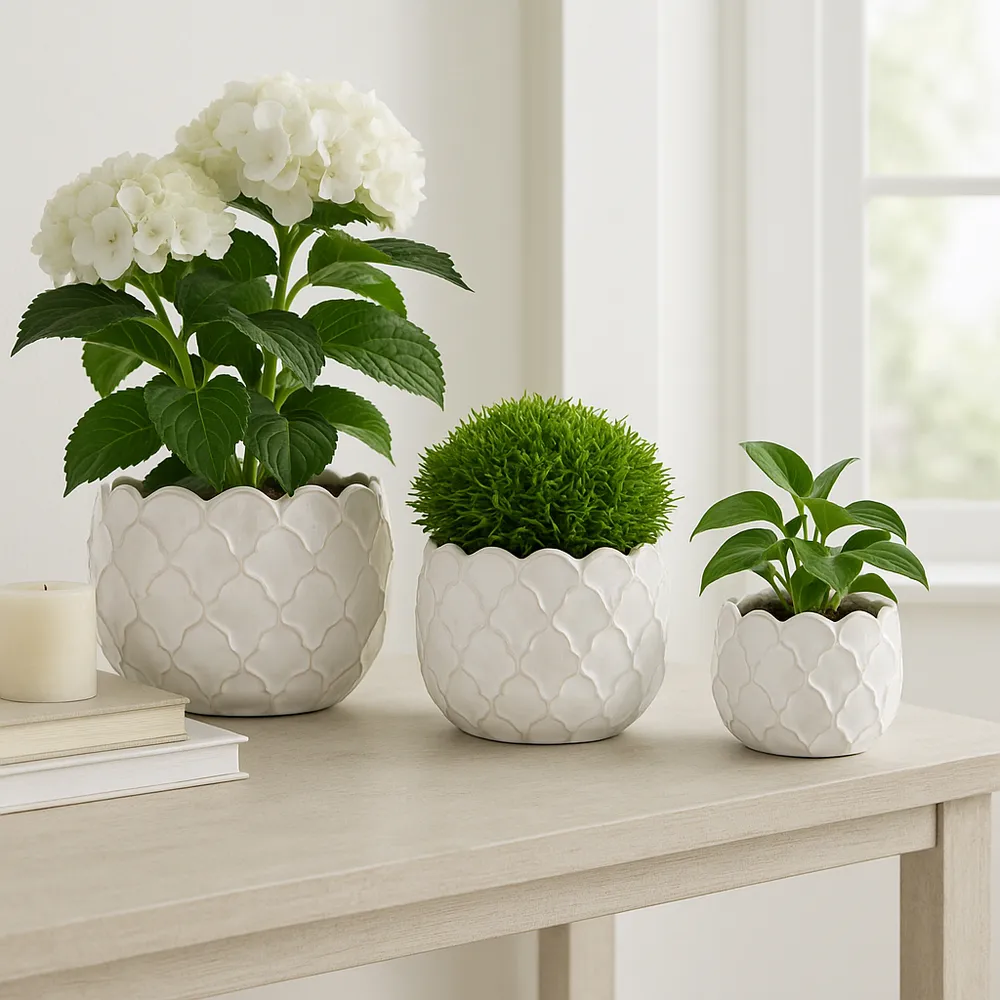 HAZENSHAW SET OF 3 WHITE PLANTER 11 (IN)