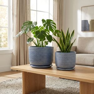 FIONAOAK SET OF 2 BLUE PLANTER 10 (IN) 9