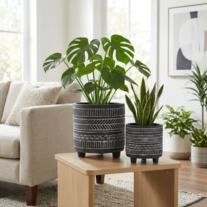 COHENGROVE SET OF 2 BLACK PLANTER 8 (IN) 10