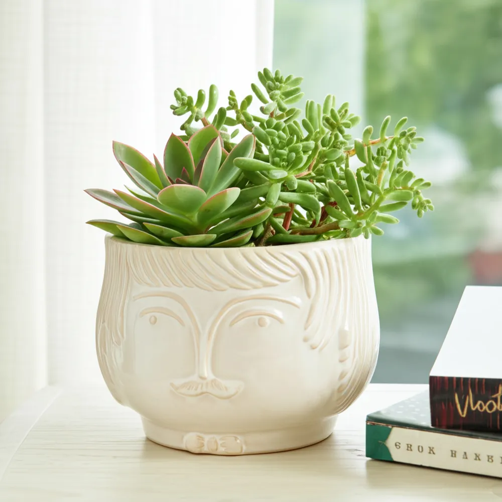 LAKEMOOR WHITE PLANTER 5 (IN)
