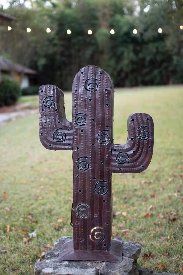 Iron Cactus Luminary