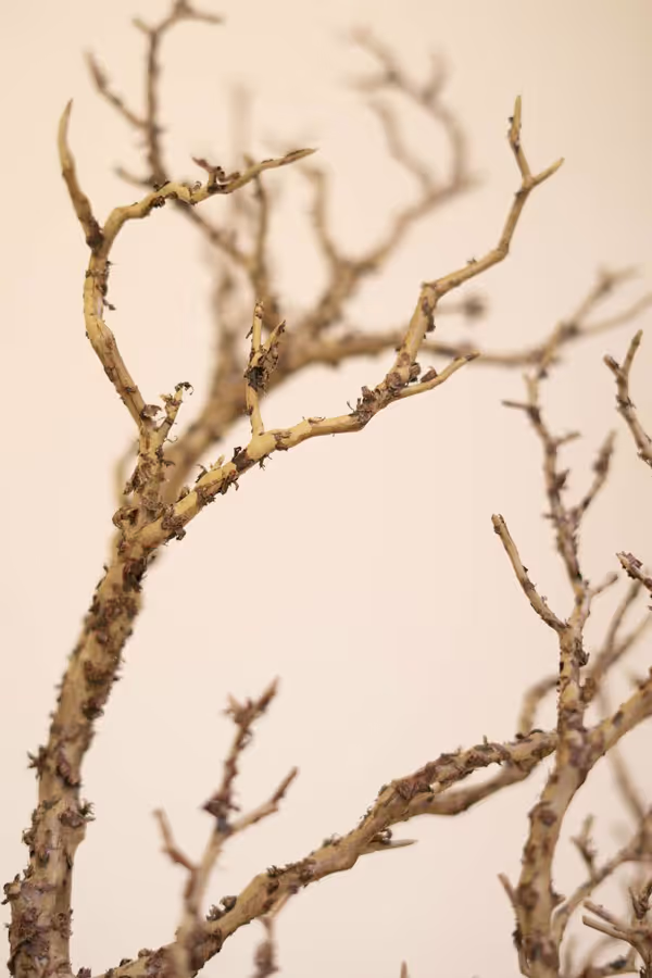 Artificial Dead Wood Branch