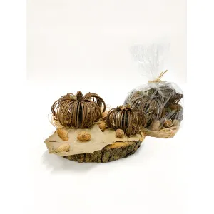 Natural Pumpkin Mix 1