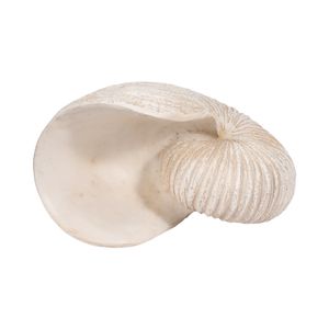 SELBYBEACH IVORY DECOR 14 (IN) 8