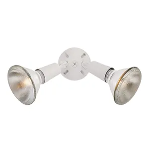 Daley 6'' High 2-Light Outdoor Sconce - White 1
