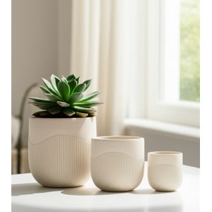 TODDCLIFF SET OF 3 IVORY PLANTER 16 (IN) 12