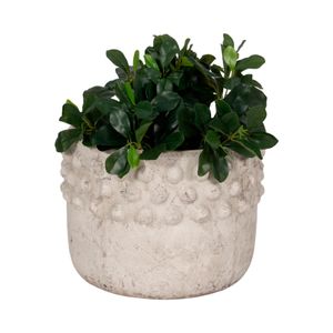 ROCKSIDE IVORY PLANTER 9 (IN) 3