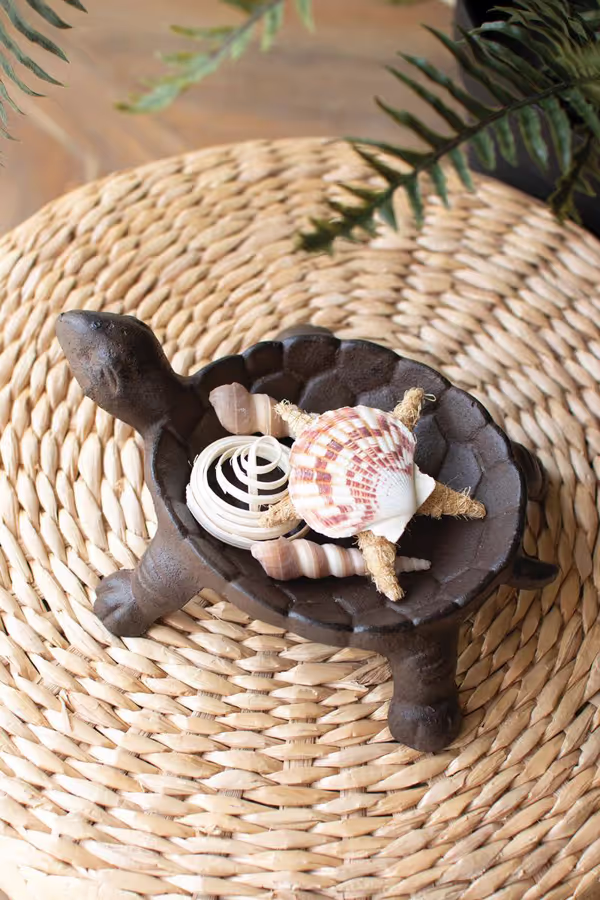 Cast Iron Turtle Dish