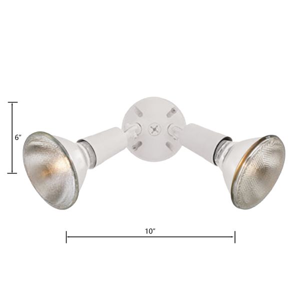 Daley 6'' High 2-Light Outdoor Sconce - White