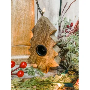 Tree Taper Holder 6in 1