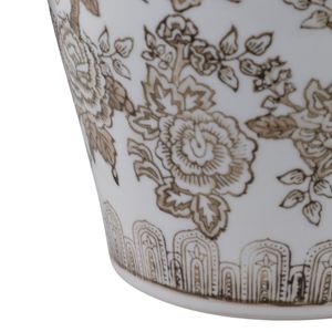 DOUGALTON BROWN CHINOISERIE 12 (IN) 6