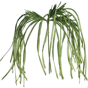 Botanica #2183 4