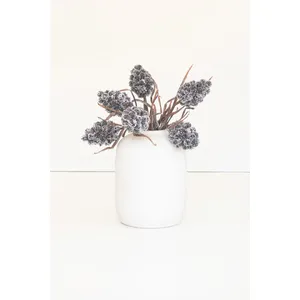 Botanica #2893 2